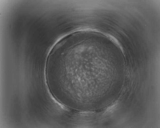 X0000072520863200607211422