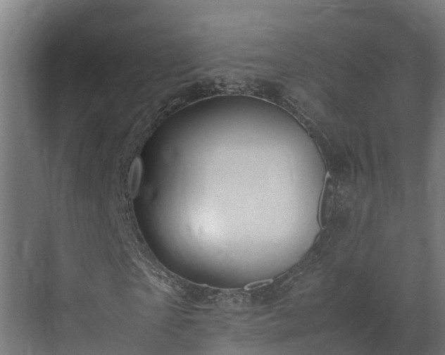 X0000072520865200607211421