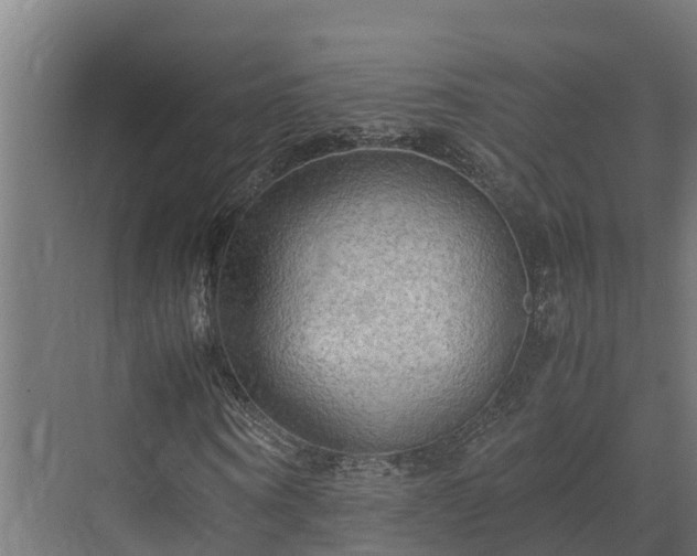 X0000072520866200607211421