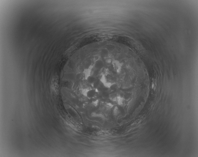 X0000072520867200607211421