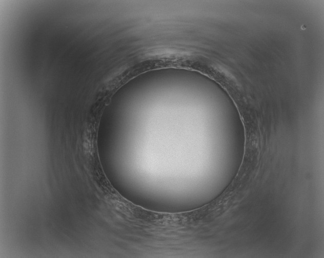 X0000072520869200607211421