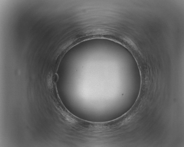 X0000072520873200607211421