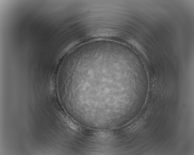 X0000072520874200607211421