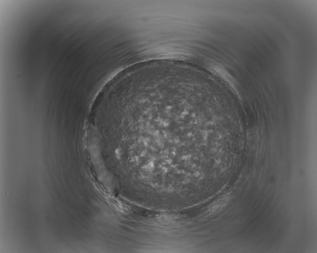 X0000072520875200607211421