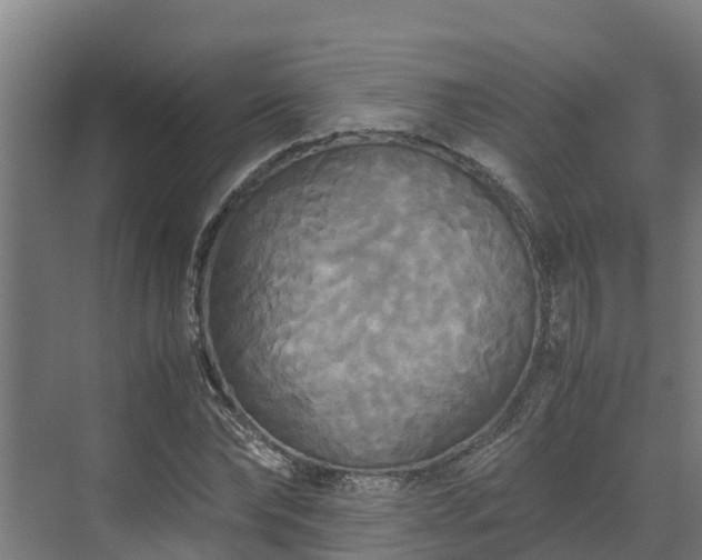 X0000072520878200607211420