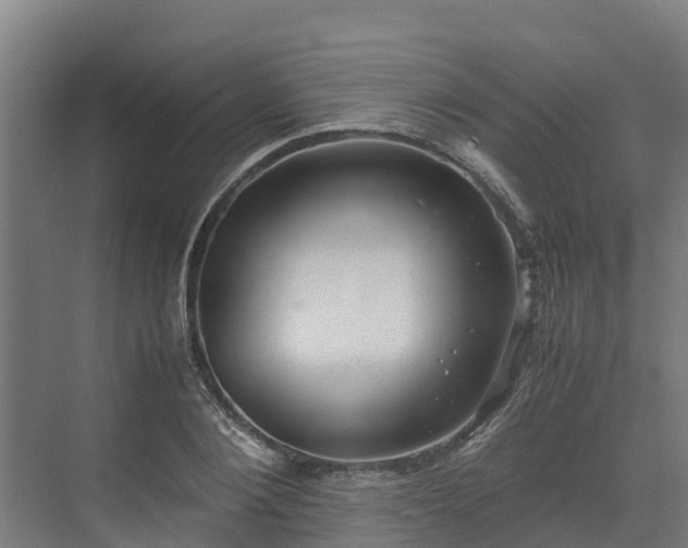 X0000072520884200607211420