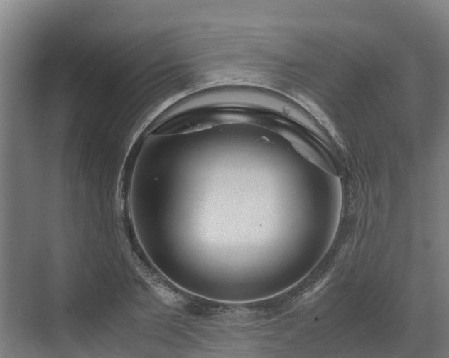 X0000072520885200607211420