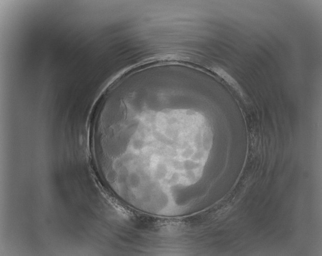 X0000072520886200607211420