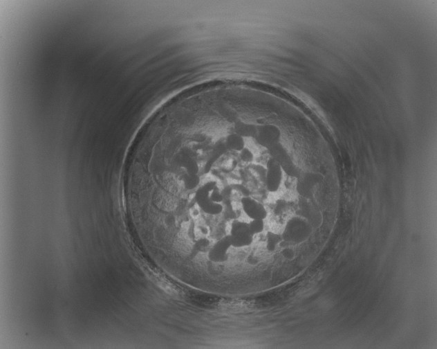 X0000072520887200607211420