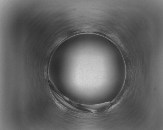 X0000072520889200607211420