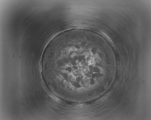 X0000072520891200607211420