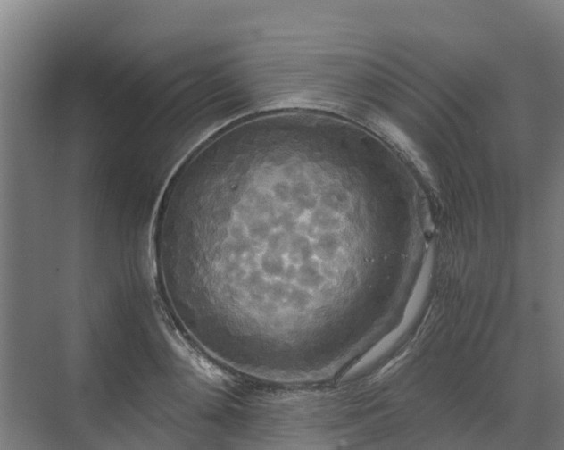 X0000072520892200607211420