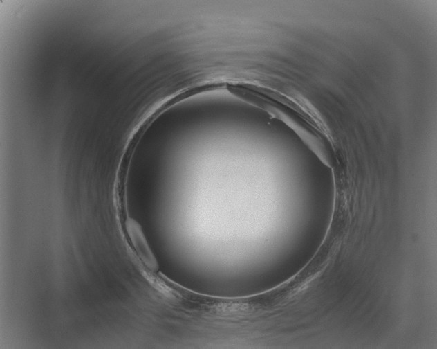 X0000072520893200607211420