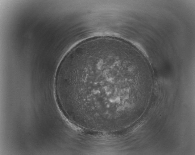 X0000072520895200607211420