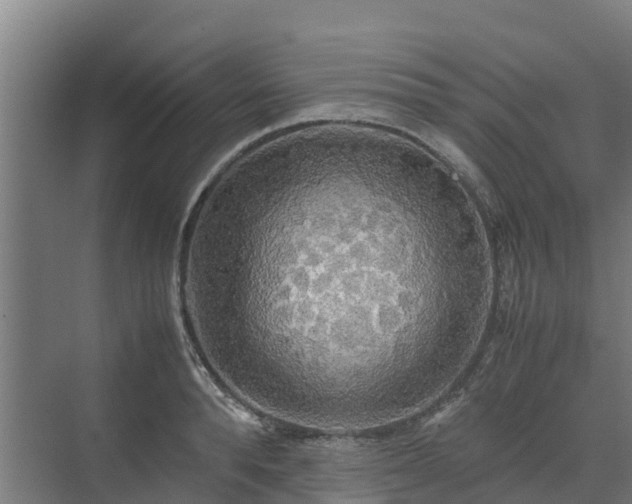 X0000072520896200607211420