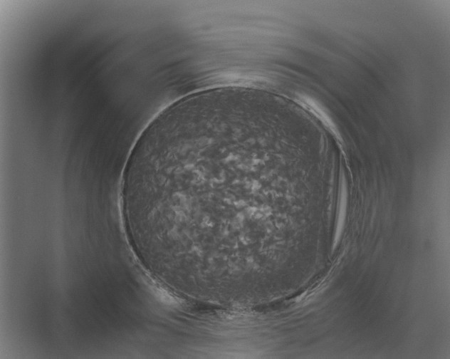 X0000072520899200607211420