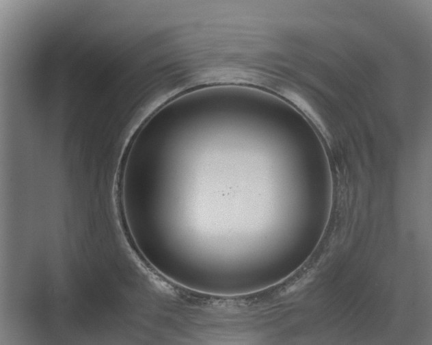 X0000072520901200607211420