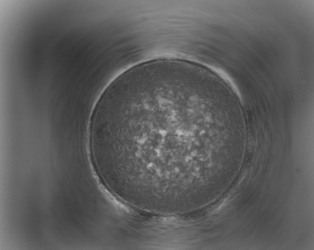 X0000072520903200607211420