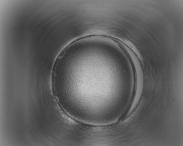 X0000072520904200607211420