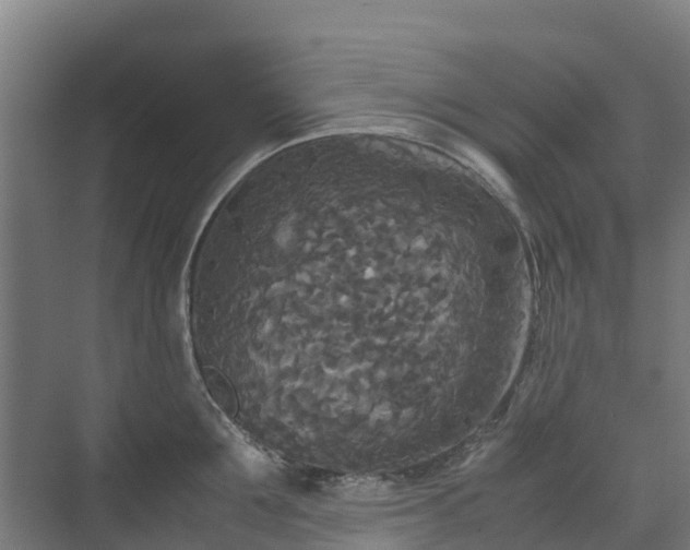 X0000072520907200607211420