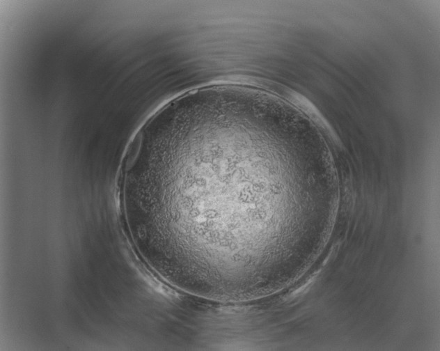 X0000072520908200607211420