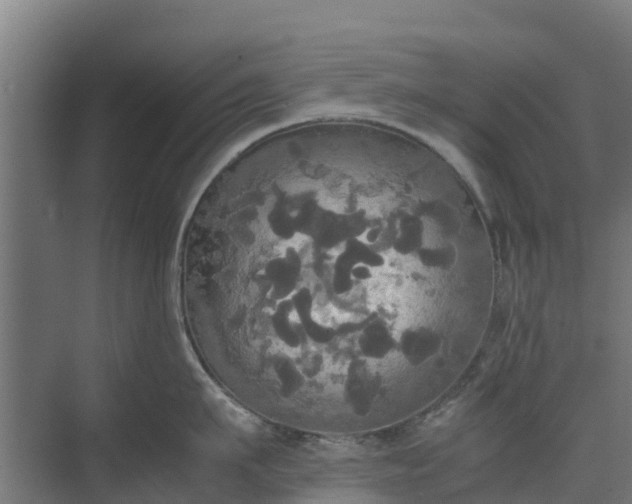 X0000072520911200607211420