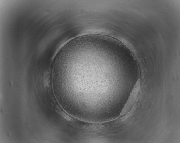 X0000072520912200607211420