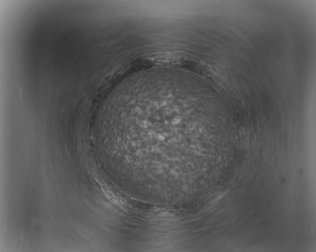 X0000072520913200607211419