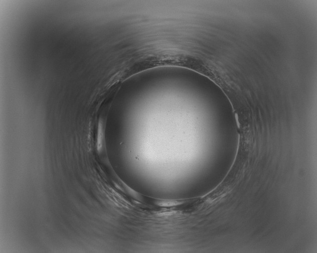 X0000072520916200607211419