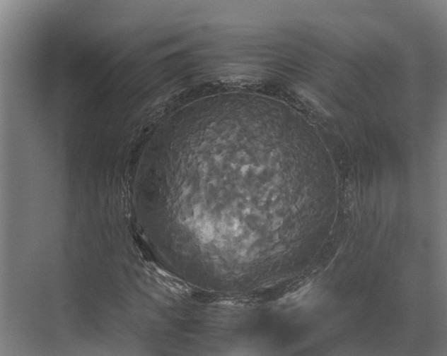 X0000072520917200607211419