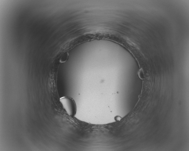 X0000072520918200607211419