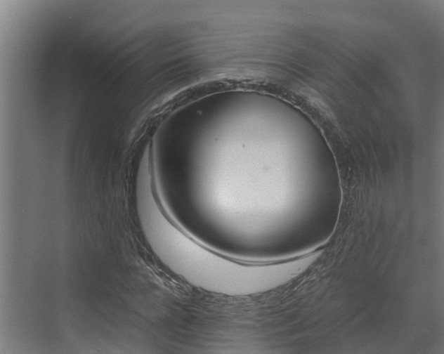 X0000072520920200607211419