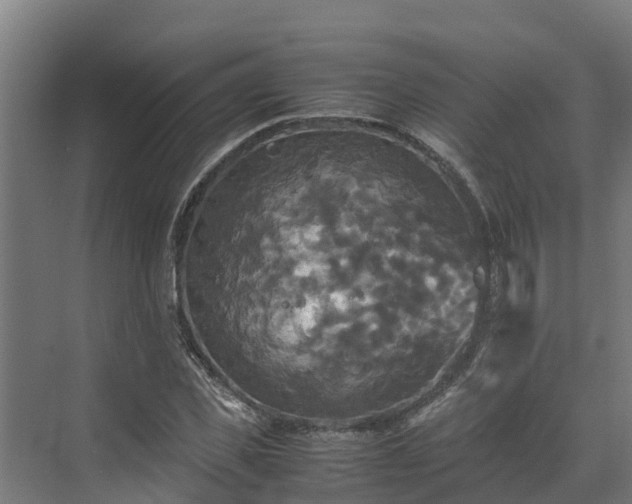 X0000072520925200607211419