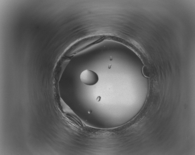 X0000072520926200607211419