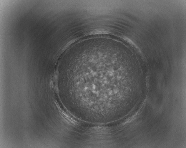 X0000072520929200607211419