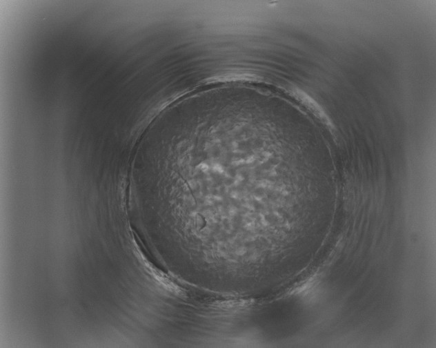 X0000072520937200607211420