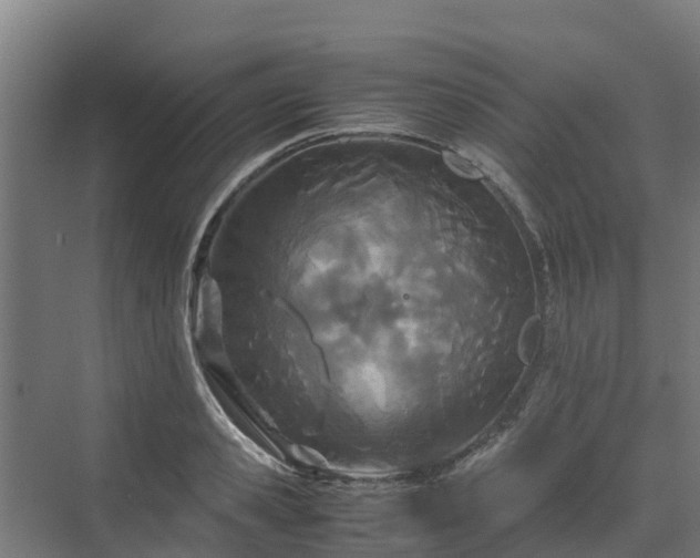 X0000072520941200607211420