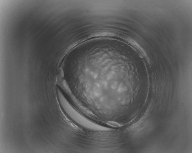 X0000072520945200607211420