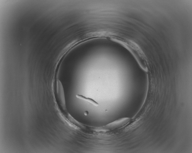 X0000072520946200607211420