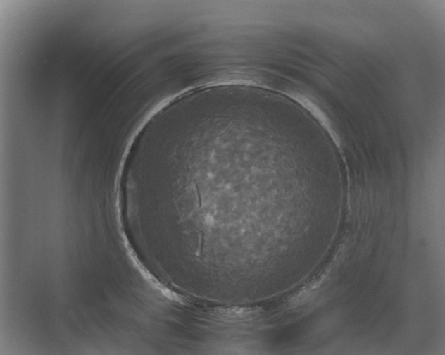 X0000072520949200607211420