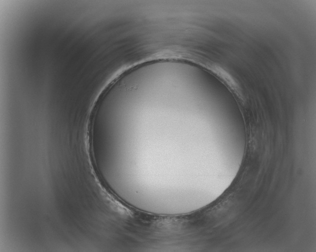 X0000072520950200607211420