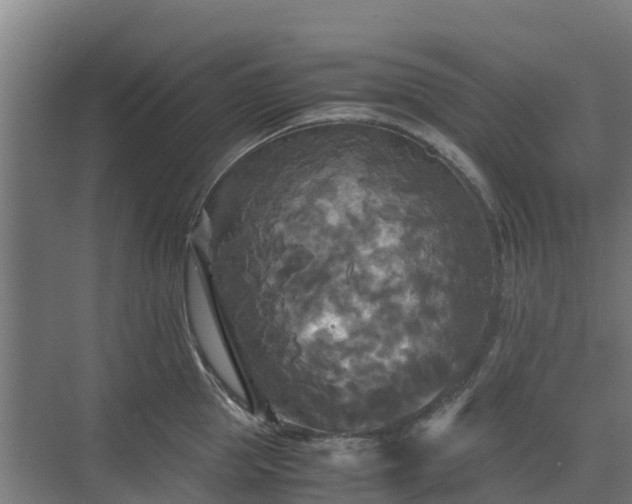 X0000072520953200607211420