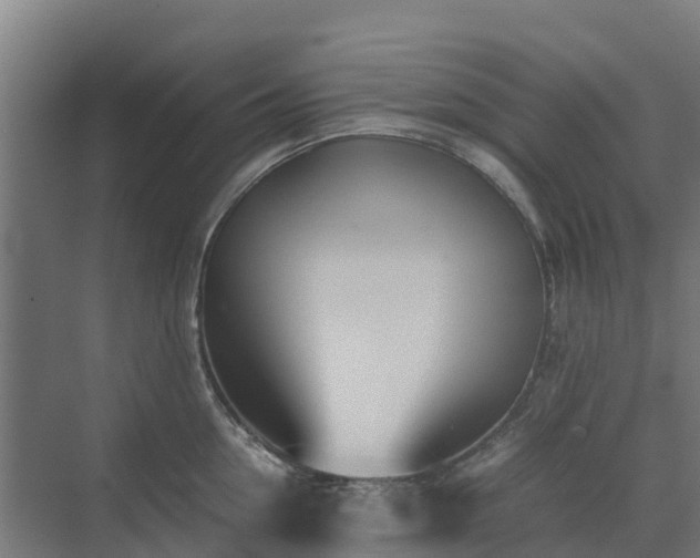 X0000072520954200607211420