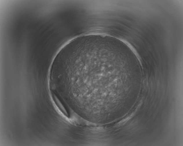 X0000072520957200607211420