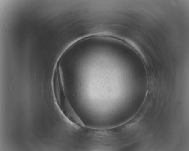 X0000072520959200607211420