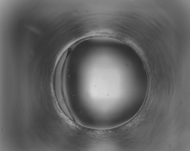 X0000072520960200607211420