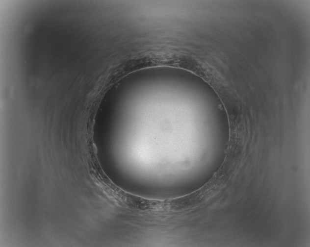 X0000072520961200607211419