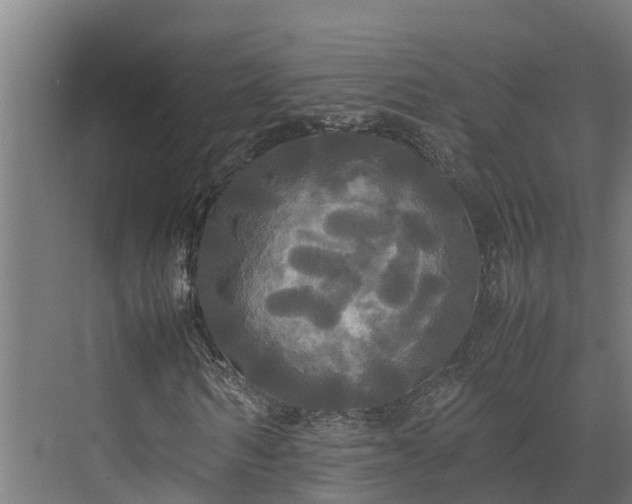 X0000072520962200607211419