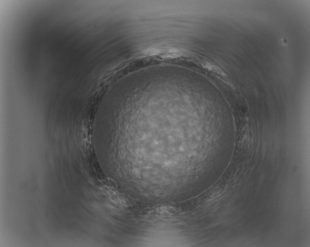 X0000072520966200607211419