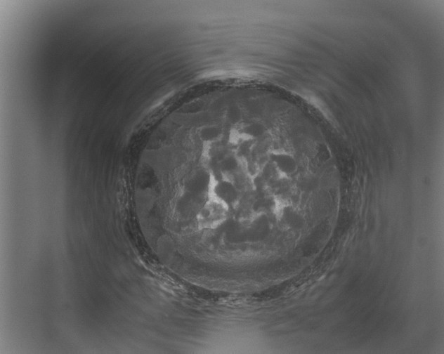 X0000072520967200607211419